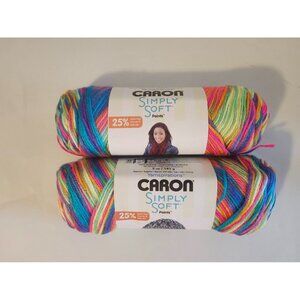 Caron Simply Soft Paints 2 Yarns Rainbow Bright #21009